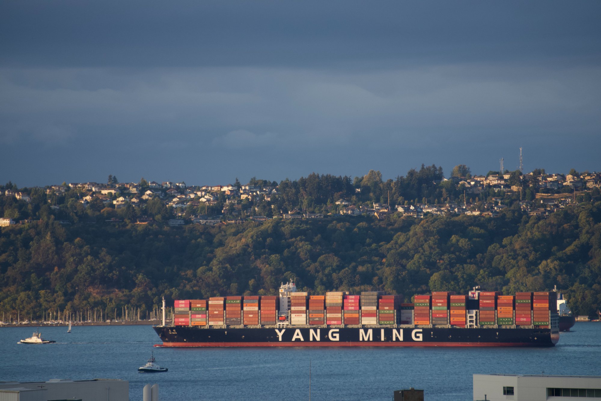 Container ship on Commencement Bay