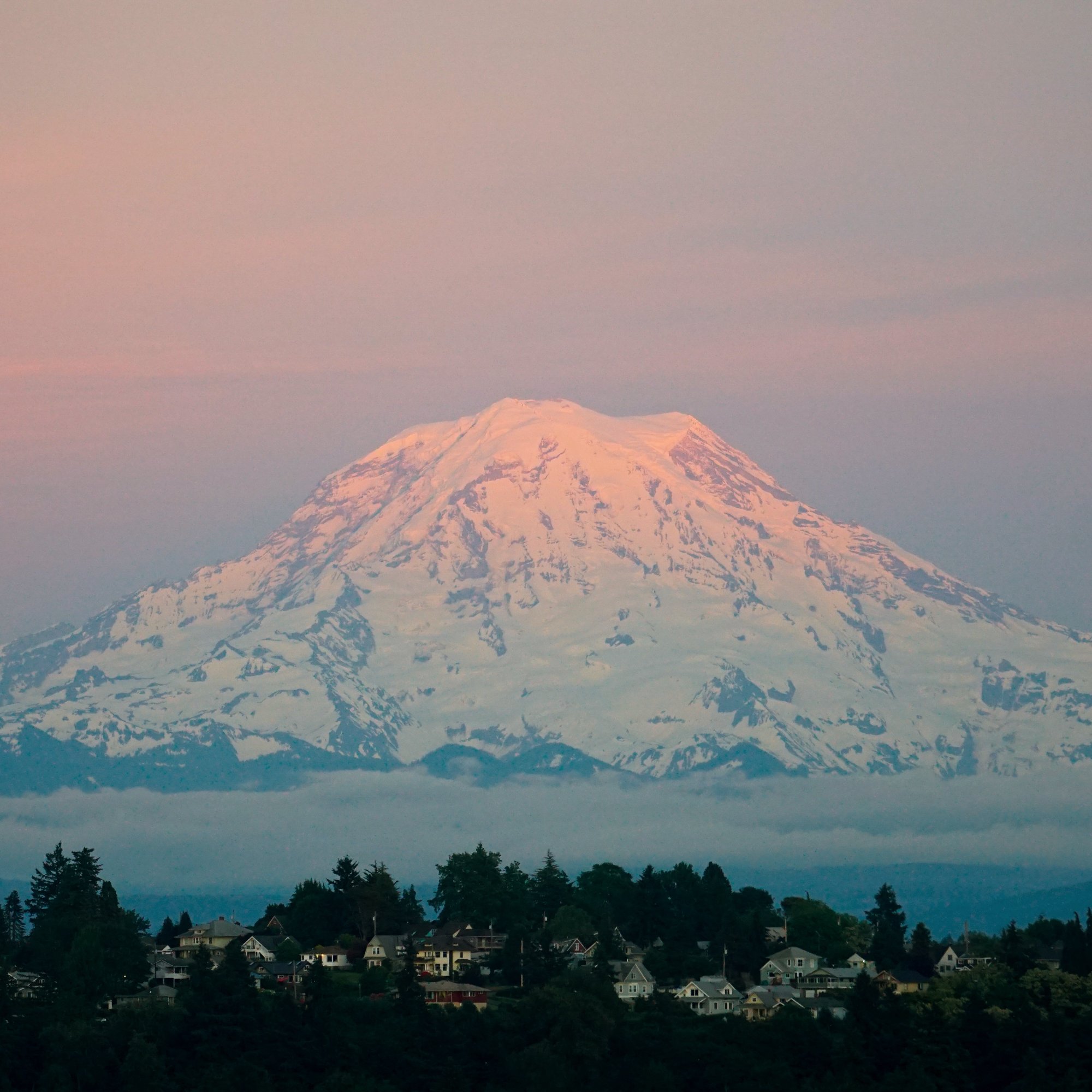 Mt. Rainier at sunrise, pink alpenglow